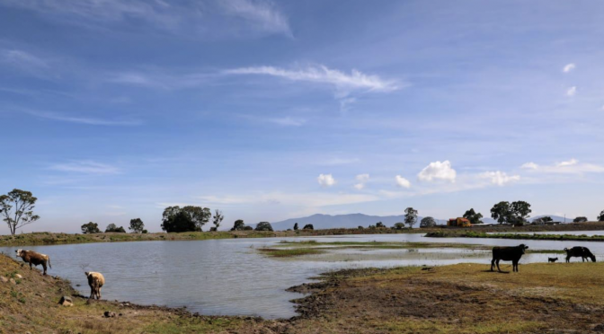 Edomex – Asegura GEM dotación de agua para agricultores de Jilotepec con obras de infraestructura (Portal)